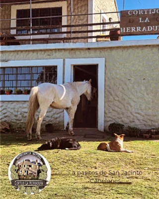Instagram post from espacio.galope. This post is in position 10.